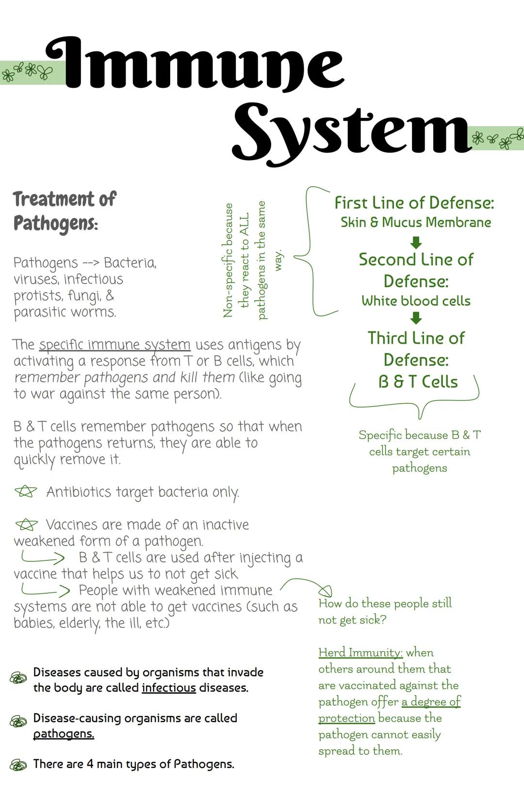 Immune
Treatment of
Pathogens:
Pathogens- --> Bacteria,
viruses, infectious
protists, fungi, &
parasitic worms.
Systeme
First Line of Defens