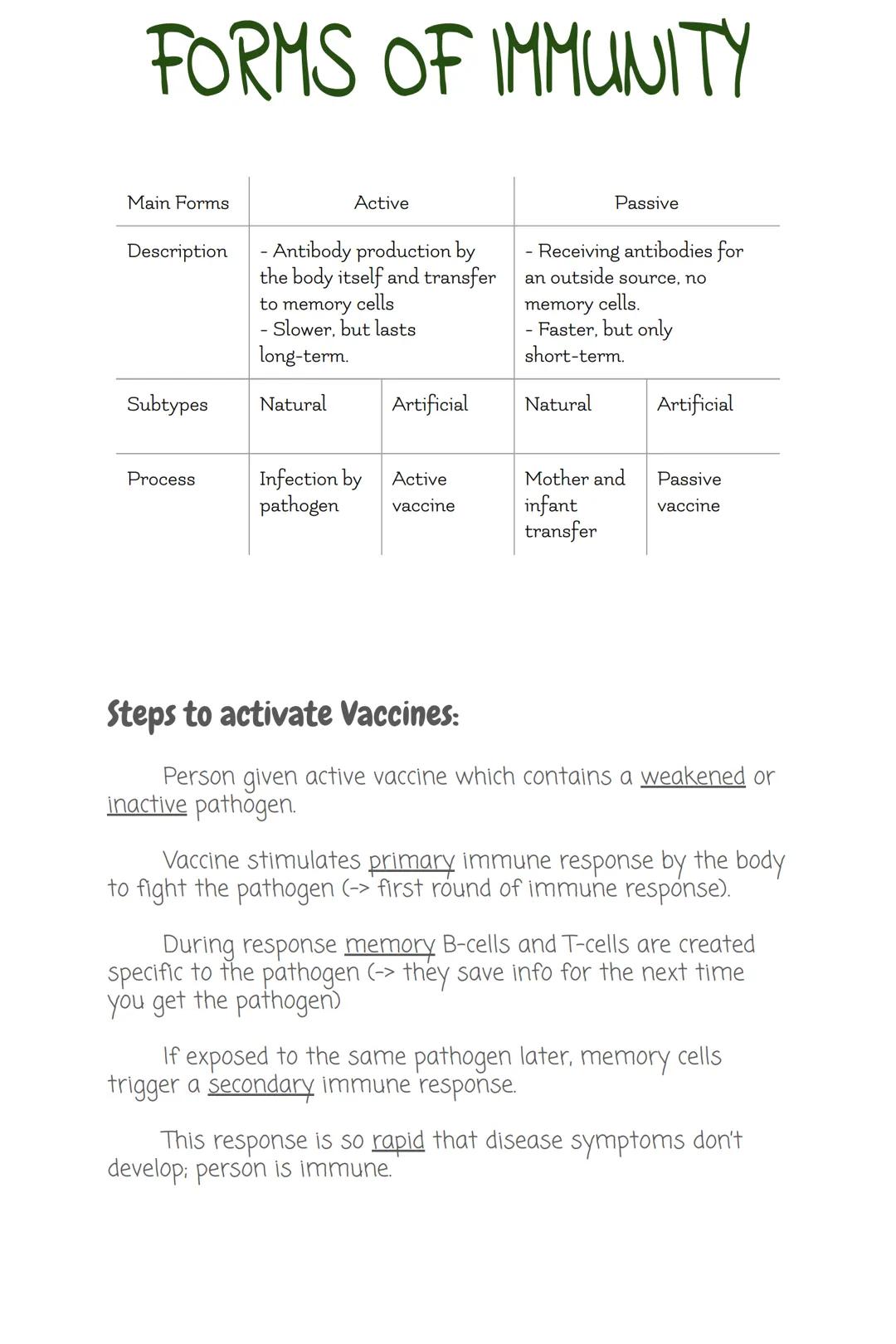 Immune
Treatment of
Pathogens:
Pathogens- --> Bacteria,
viruses, infectious
protists, fungi, &
parasitic worms.
Systeme
First Line of Defens