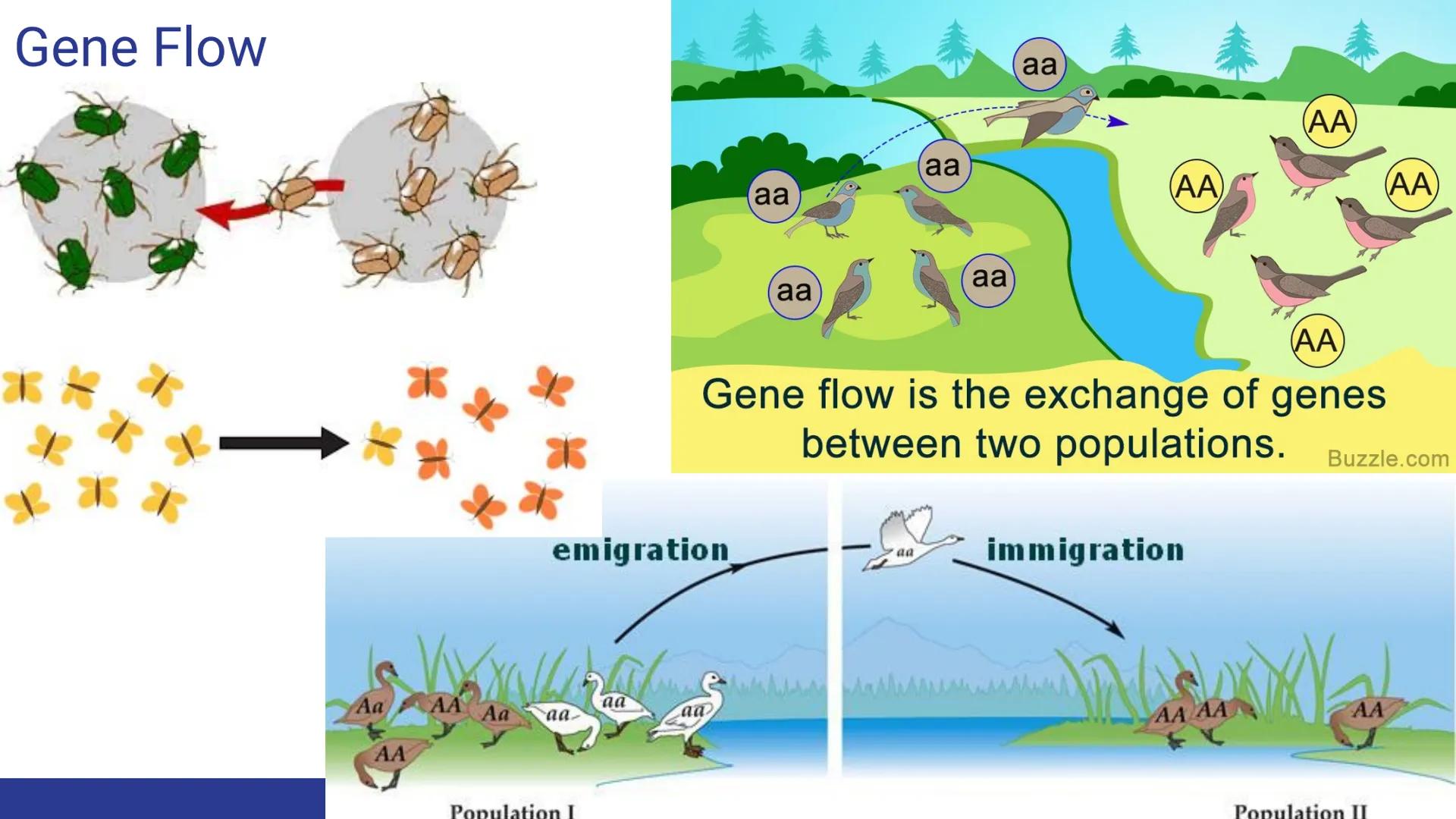 Evolution
Evolution, Evidence, and Mechanisms
of Evolution Continuity of Life
• Continuity of lifeforms on Earth is based on an organism's s