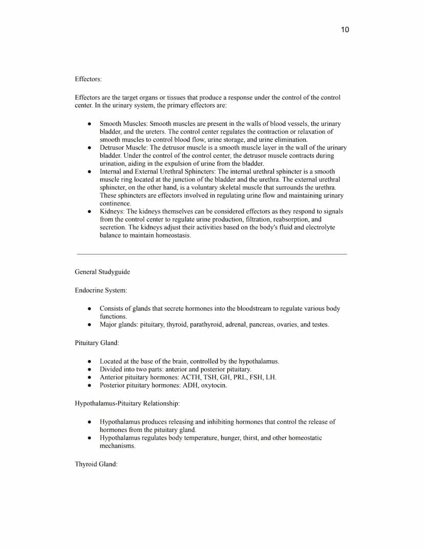 Unit Ten Summative Quiz Review- Endocrine and Urinary Systems
15 questions, 3 points each
Open resource (just like all past summative quizze