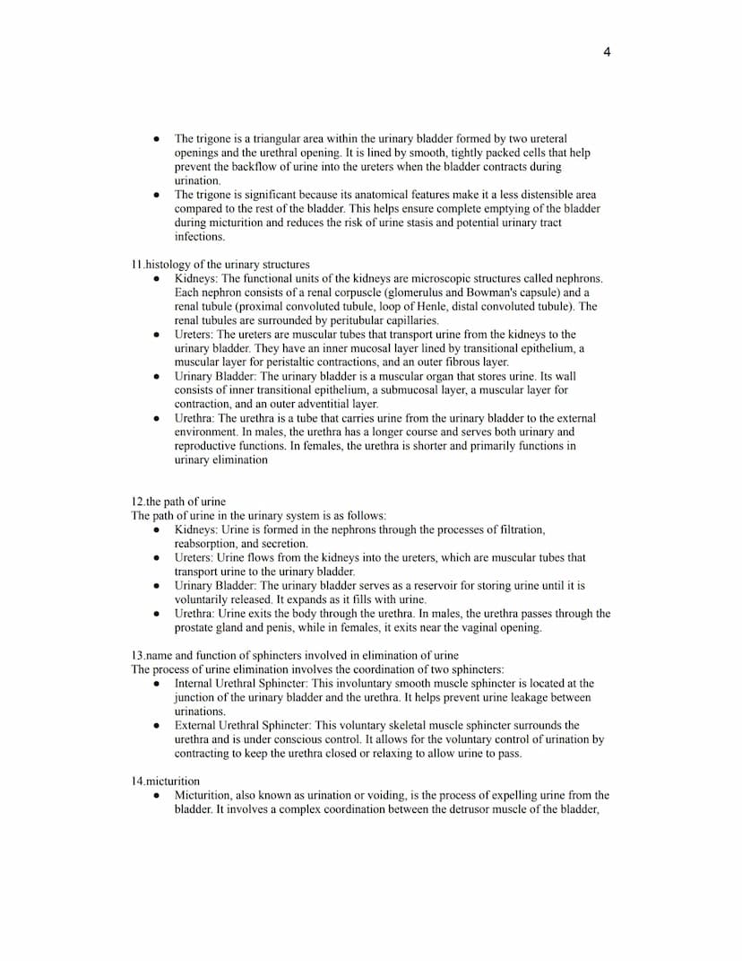 Unit Ten Summative Quiz Review- Endocrine and Urinary Systems
15 questions, 3 points each
Open resource (just like all past summative quizze