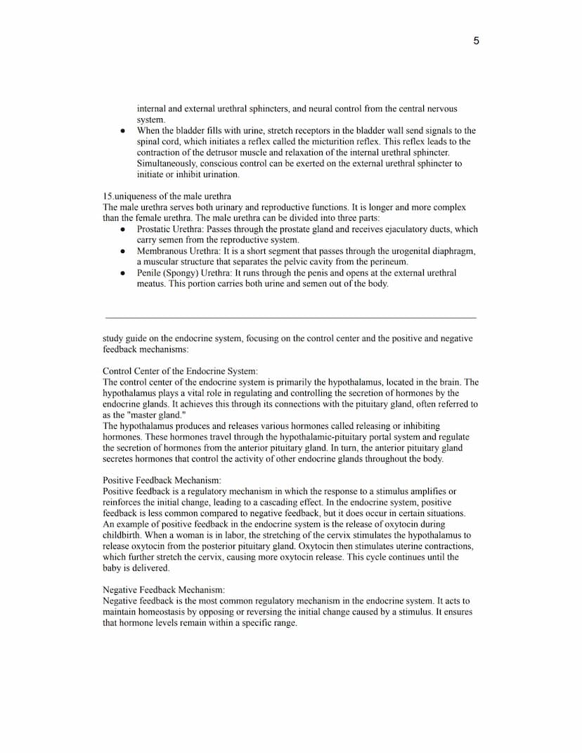 Unit Ten Summative Quiz Review- Endocrine and Urinary Systems
15 questions, 3 points each
Open resource (just like all past summative quizze