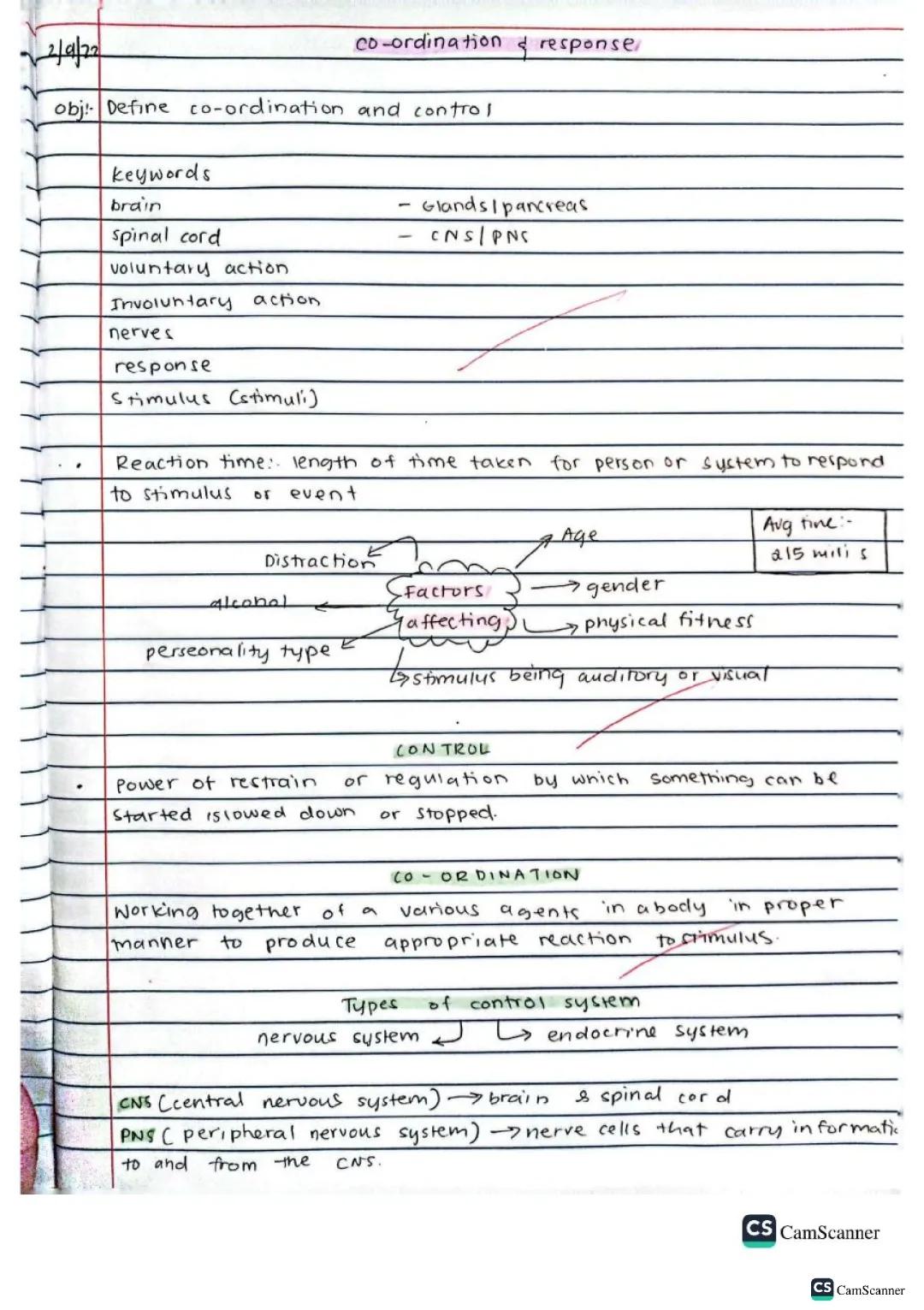 All About Coordination and Control in Biology: GCSE Notes, Neurons, and Receptors