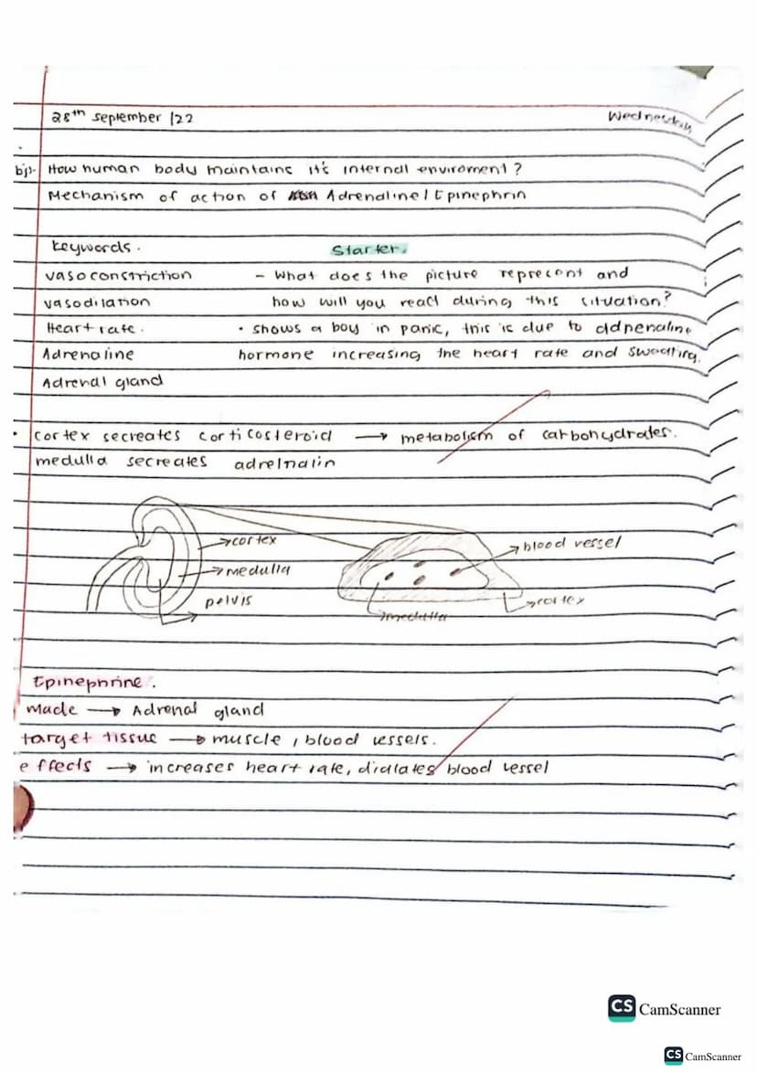 √2/9/22
obj: Define co-ordination and control
keywords
brain
spinal cord
voluntary action
Involuntary action
nerves
response
Stimulus (stimu