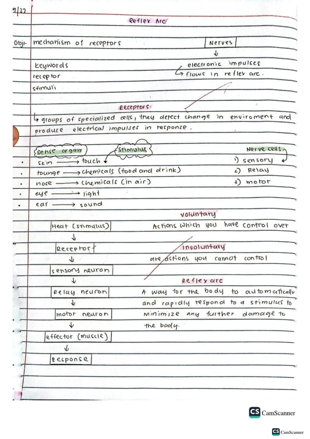 √2/9/22
obj: Define co-ordination and control
keywords
brain
spinal cord
voluntary action
Involuntary action
nerves
response
Stimulus (stimu