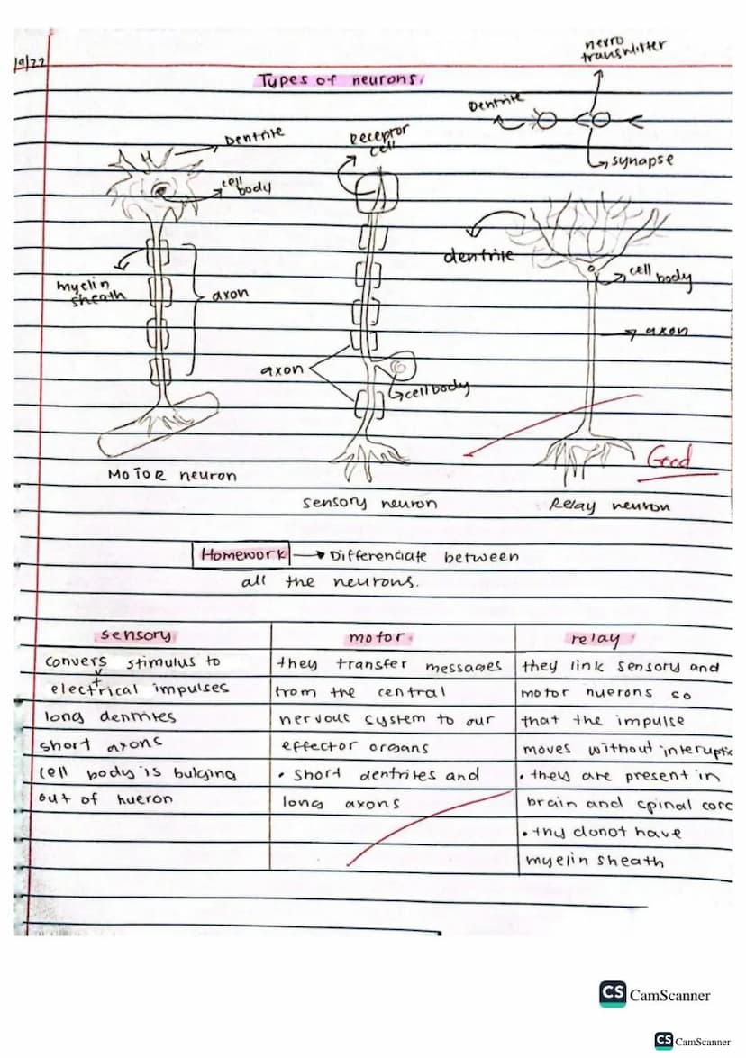 √2/9/22
obj: Define co-ordination and control
keywords
brain
spinal cord
voluntary action
Involuntary action
nerves
response
Stimulus (stimu