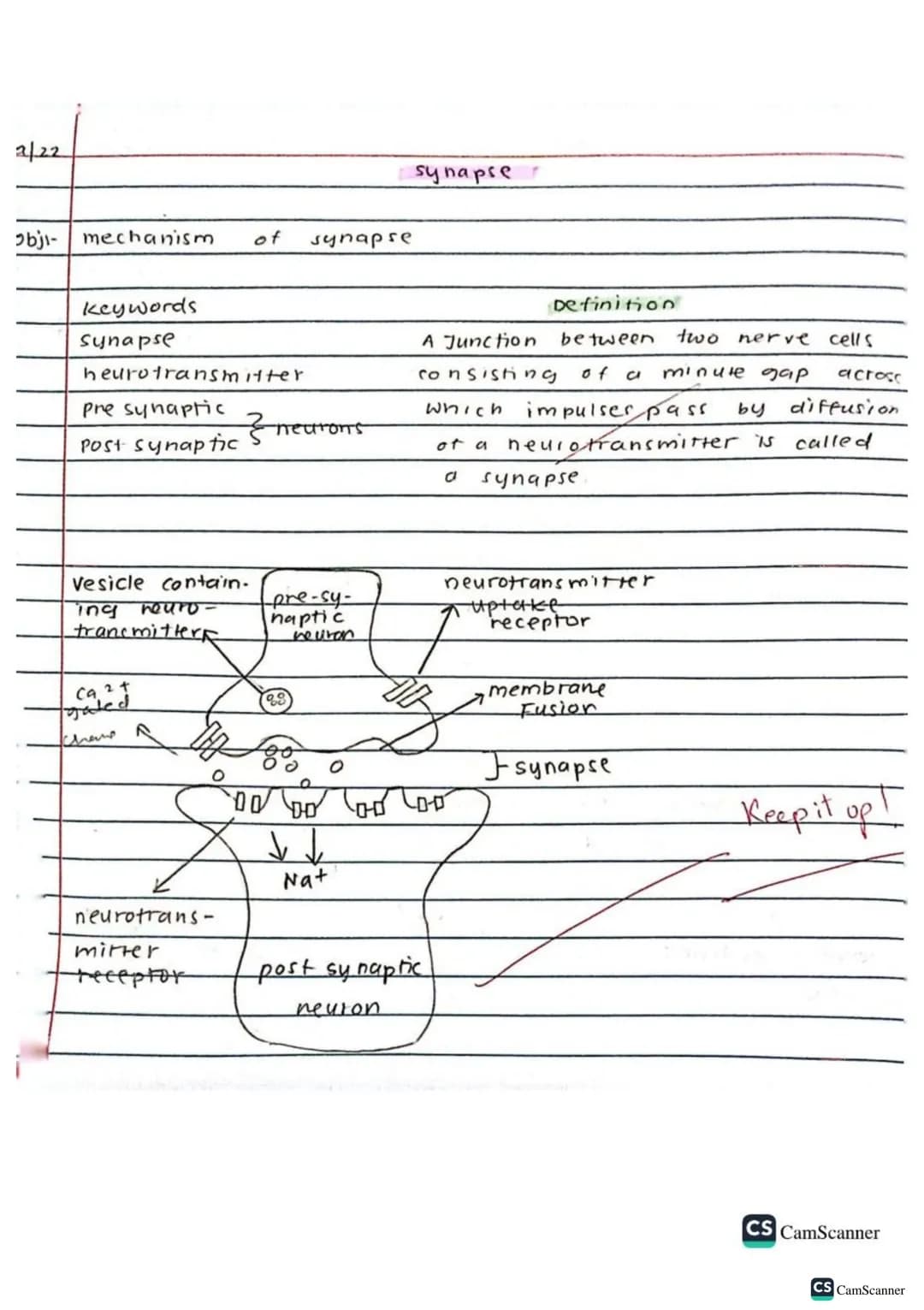 √2/9/22
obj: Define co-ordination and control
keywords
brain
spinal cord
voluntary action
Involuntary action
nerves
response
Stimulus (stimu