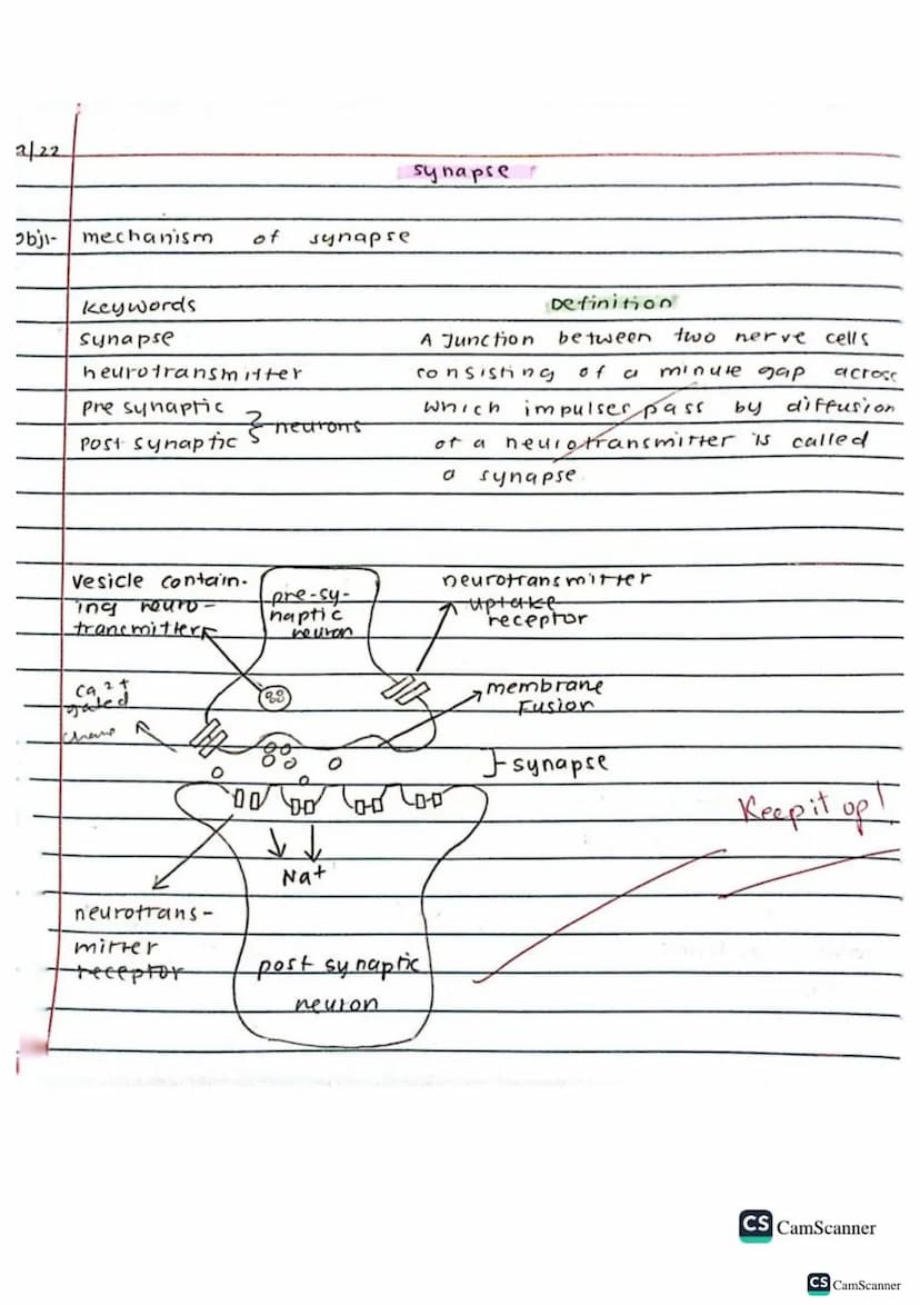 √2/9/22
obj: Define co-ordination and control
keywords
brain
spinal cord
voluntary action
Involuntary action
nerves
response
Stimulus (stimu