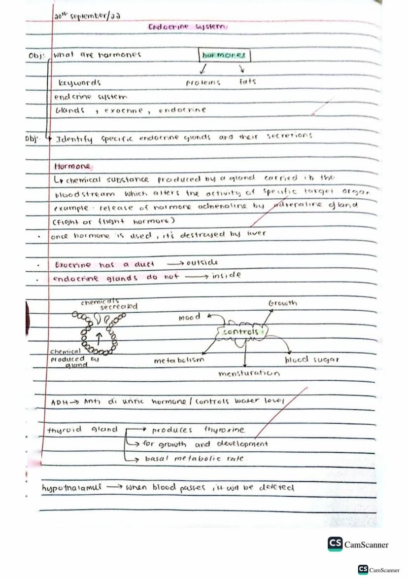√2/9/22
obj: Define co-ordination and control
keywords
brain
spinal cord
voluntary action
Involuntary action
nerves
response
Stimulus (stimu