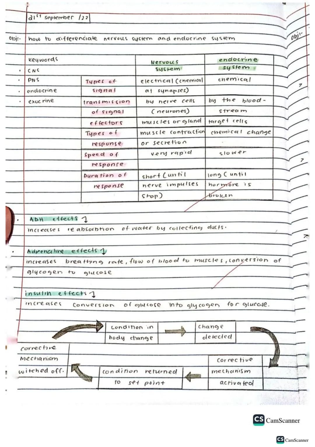 √2/9/22
obj: Define co-ordination and control
keywords
brain
spinal cord
voluntary action
Involuntary action
nerves
response
Stimulus (stimu