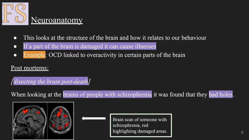 FS
The Biological Approach
1 FS
Assumption:
All human behaviour has a physical biological cause, this includes
abnormal behaviour and mental