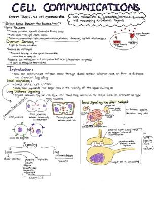 Know Unit 4: Cellular Communications and Responses thumbnail