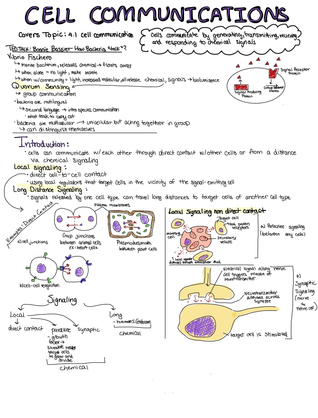 CELL COMMUNICATIONS
Covers Topic: 4.1 cell communication
cells communicate by generating, transmitting, recieving.
and responding to chemica