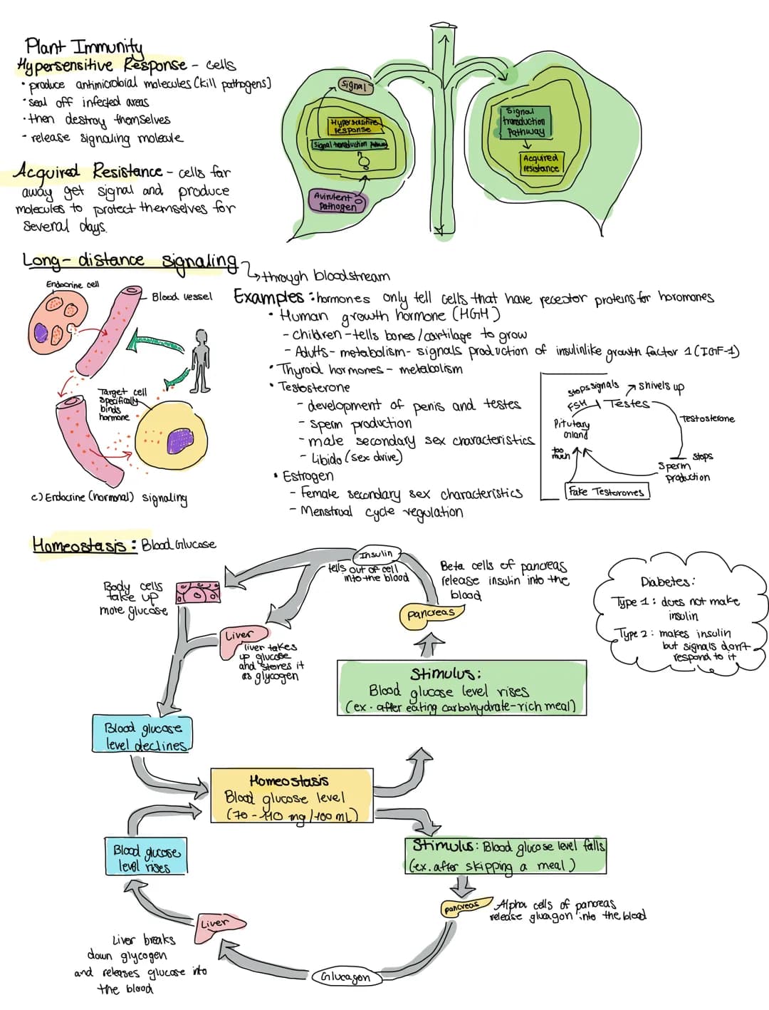 CELL COMMUNICATIONS
Covers Topic: 4.1 cell communication
cells communicate by generating, transmitting, recieving.
and responding to chemica