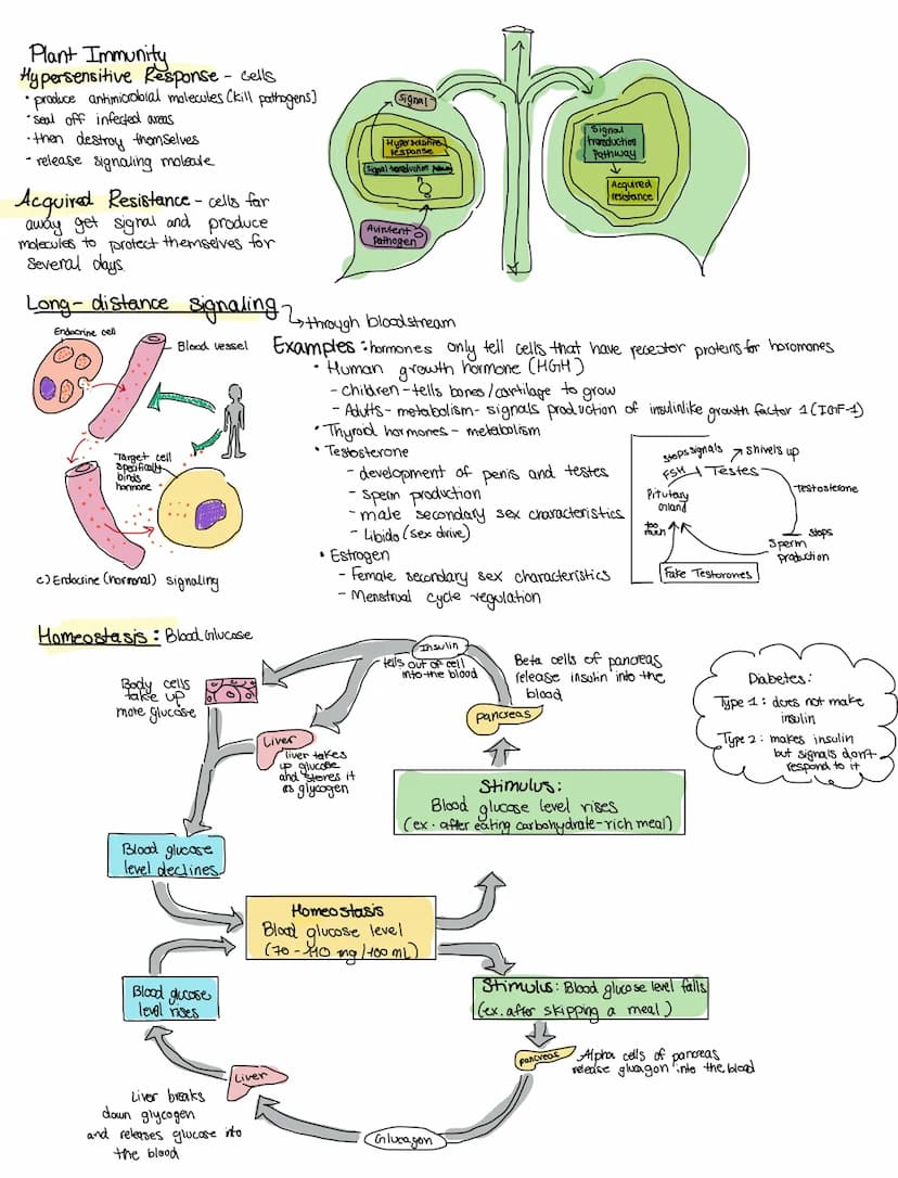 CELL COMMUNICATIONS
Covers Topic: 4.1 cell communication
cells communicate by generating, transmitting, recieving.
and responding to chemica