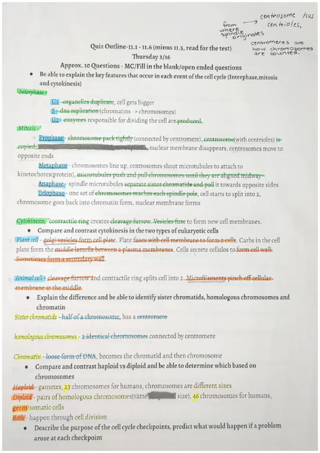 Mitosis and Meiosis Quiz Outline 