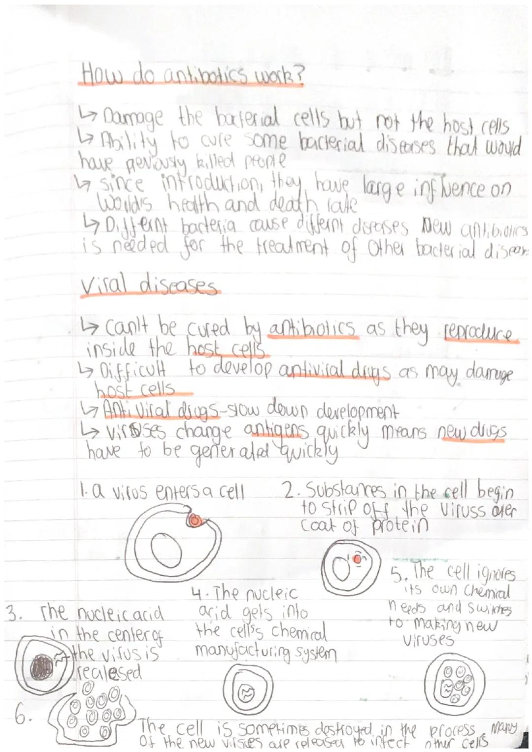Antibiotes and painkillers.
and others cure
• Differnt medicens for many different diseases
some only treat
treat symptoms
the disease by ki