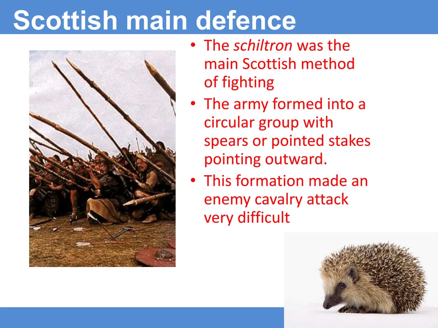 Battle of Falkirk
Learning Intention: To understand the impact of The Battle of
Falkirk
Success Criteria
I can: Describe the events at the B