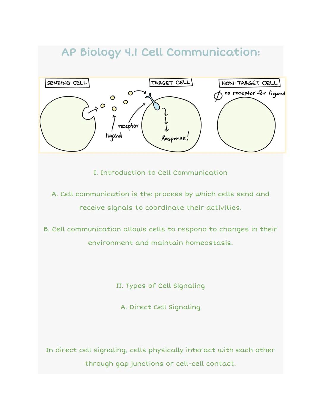 How Cells Talk: Cool Signaling Tricks in Biology