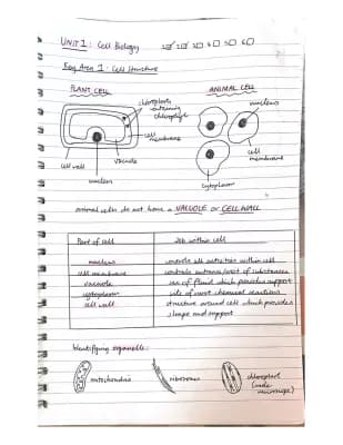 Know Unit 1: Cell Biology  thumbnail