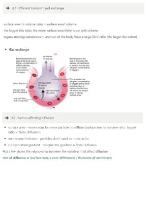 Know 8- Exchange and Transport in Animals - GCSE Edexcel Biology thumbnail