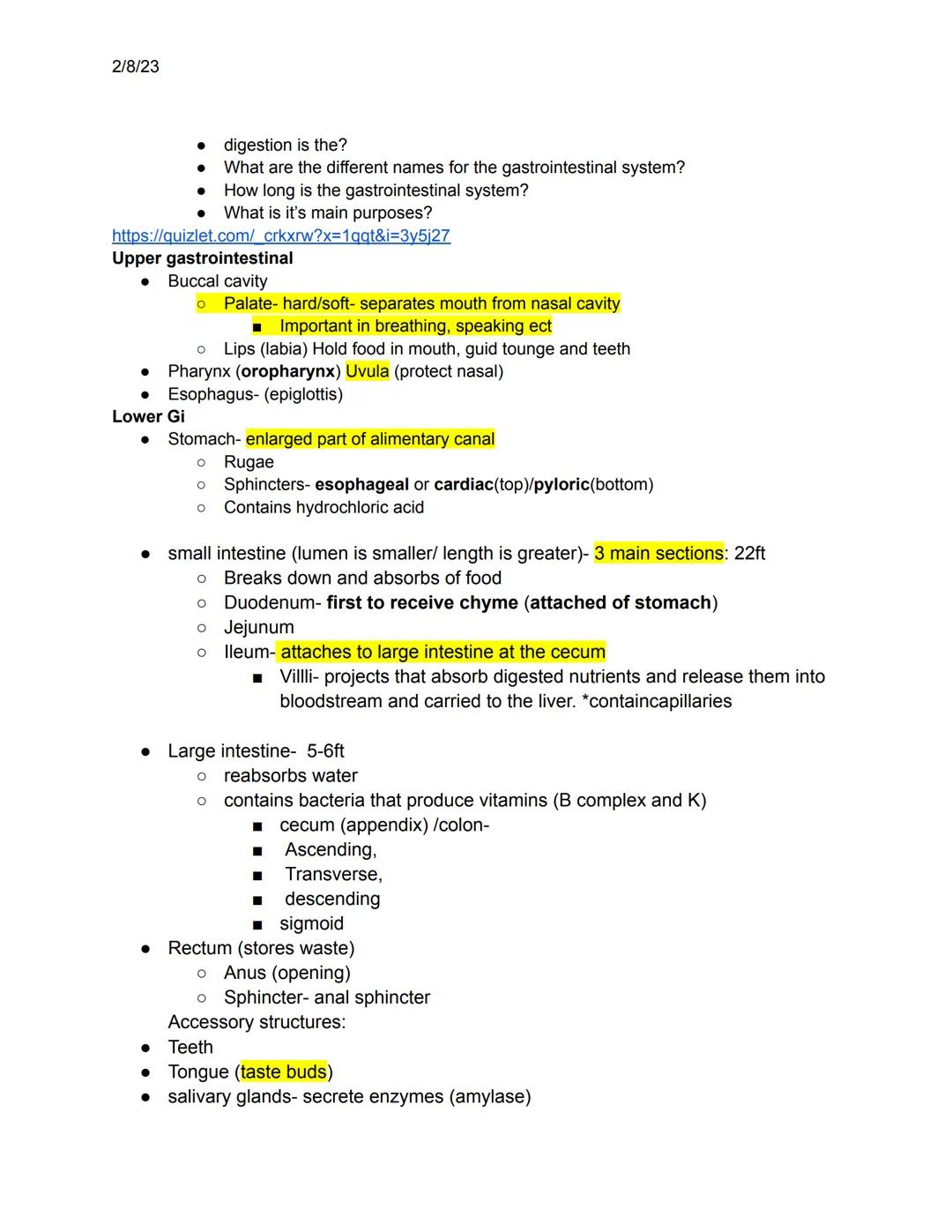 Understanding the Human Gastrointestinal System