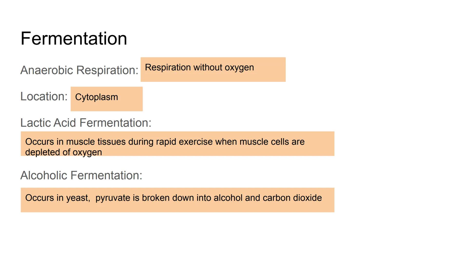 Fermentation Fermentation
Anaerobic Respiration: Respiration without oxygen
Location: Cytoplasm
Lactic Acid Fermentation:
Occurs in muscle t