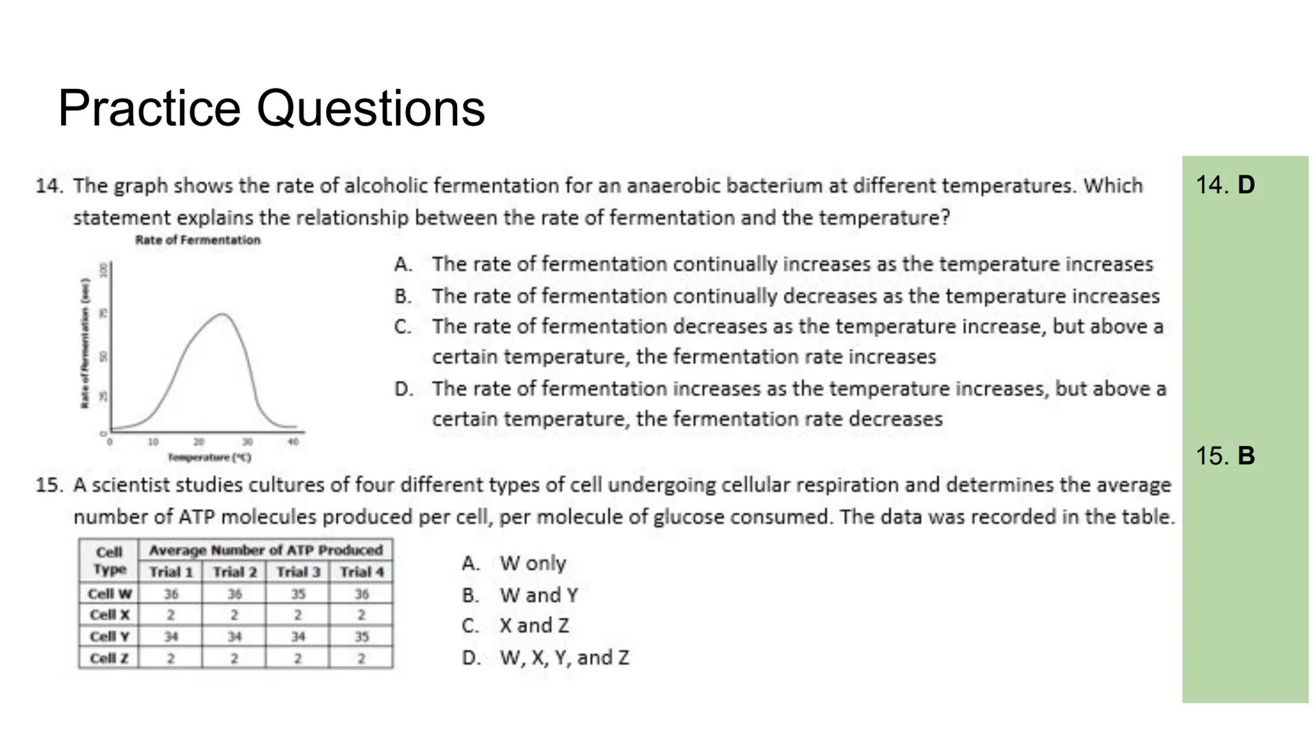 Fermentation Fermentation
Anaerobic Respiration: Respiration without oxygen
Location: Cytoplasm
Lactic Acid Fermentation:
Occurs in muscle t
