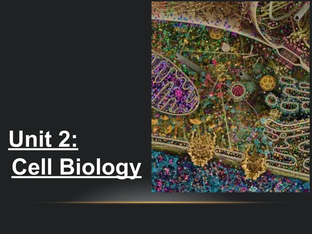 What are Cells? Fun Facts About Cell Structure, Types, and Theories