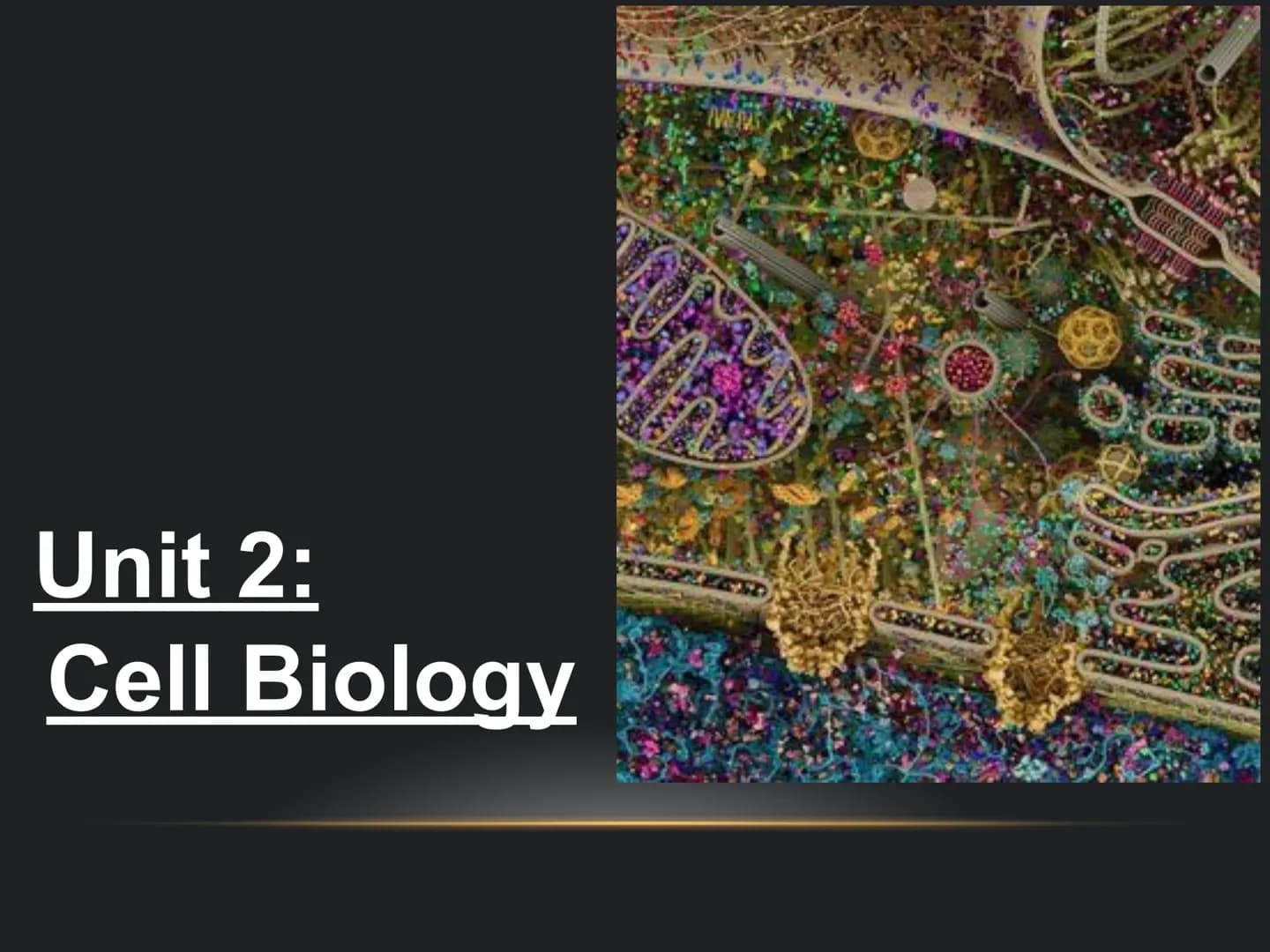 
<p>The fundamental role of cells in living organisms is key to understanding how all living things function and are structured. Cells are t