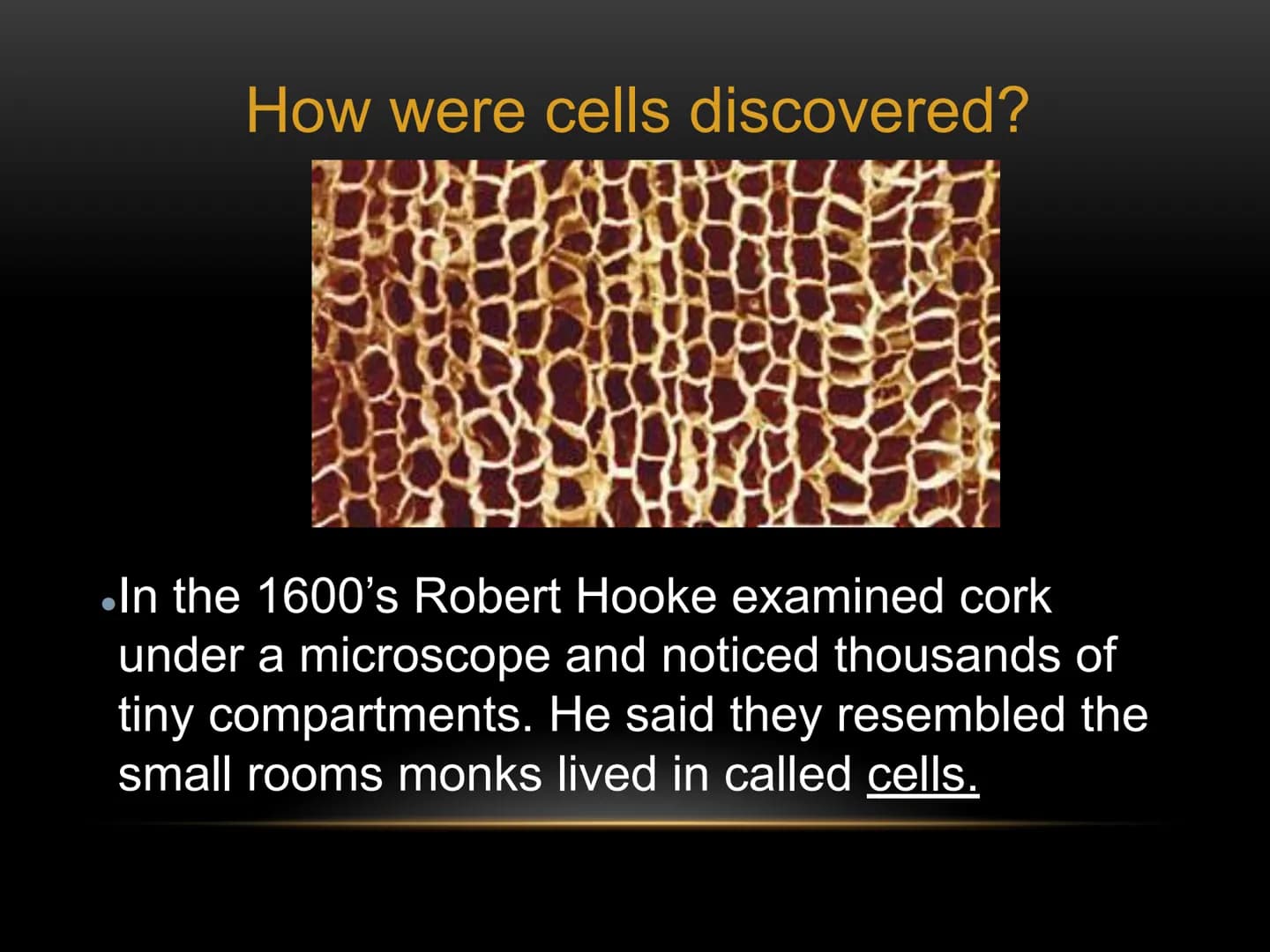 
<p>The fundamental role of cells in living organisms is key to understanding how all living things function and are structured. Cells are t