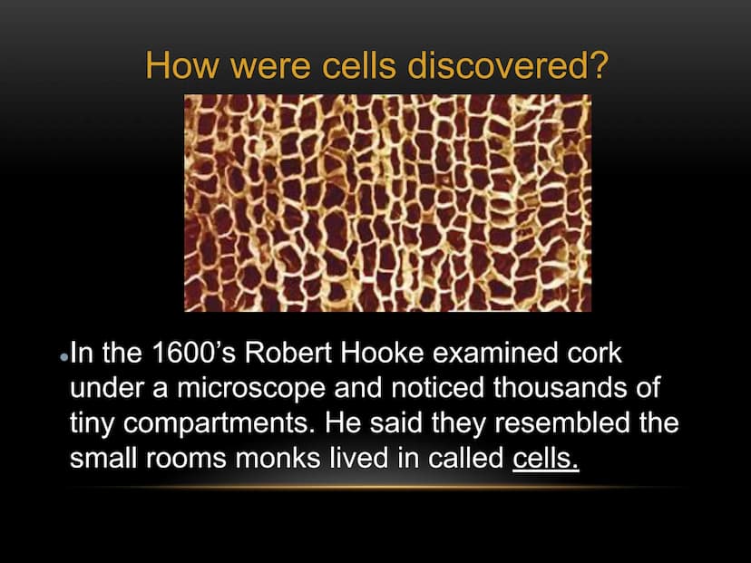 
<p>The fundamental role of cells in living organisms is key to understanding how all living things function and are structured. Cells are t
