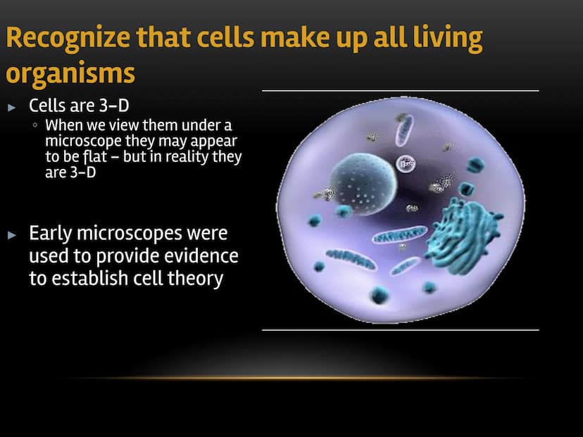 
<p>The fundamental role of cells in living organisms is key to understanding how all living things function and are structured. Cells are t
