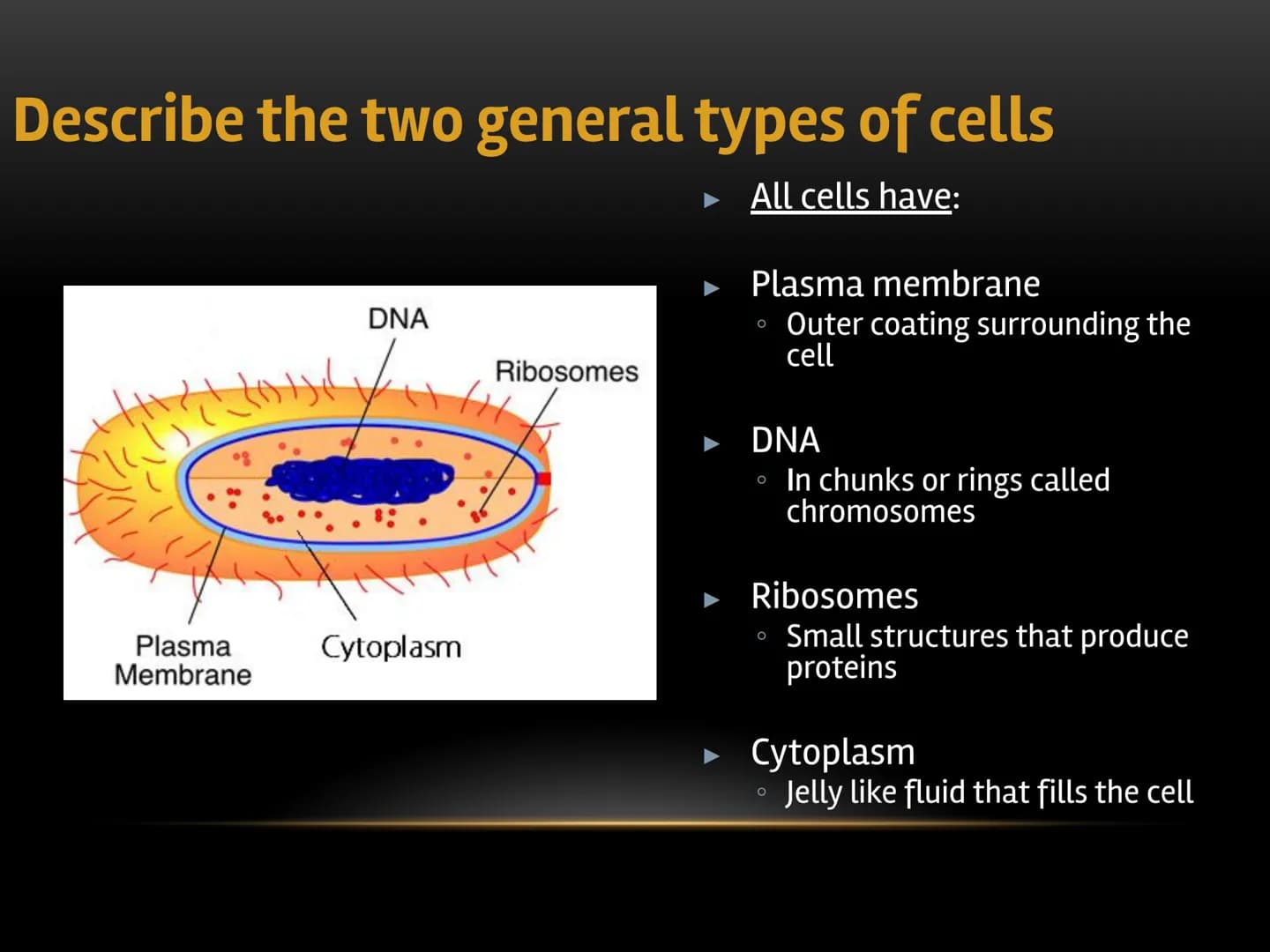 
<p>The fundamental role of cells in living organisms is key to understanding how all living things function and are structured. Cells are t