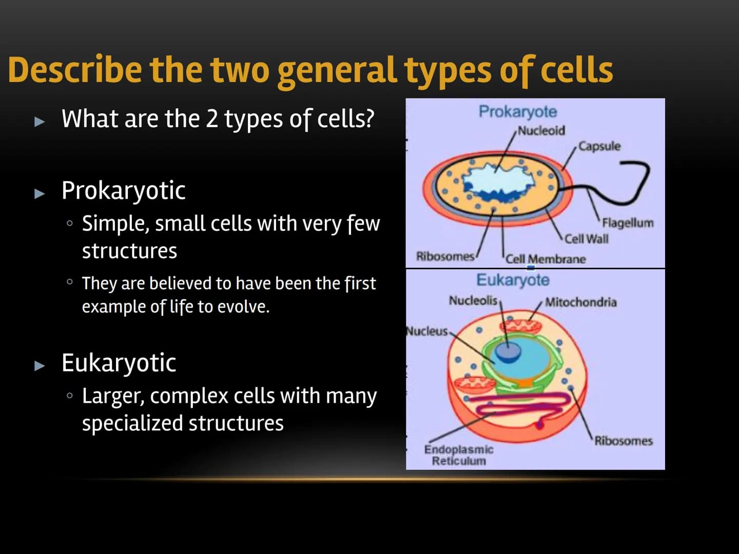 
<p>The fundamental role of cells in living organisms is key to understanding how all living things function and are structured. Cells are t