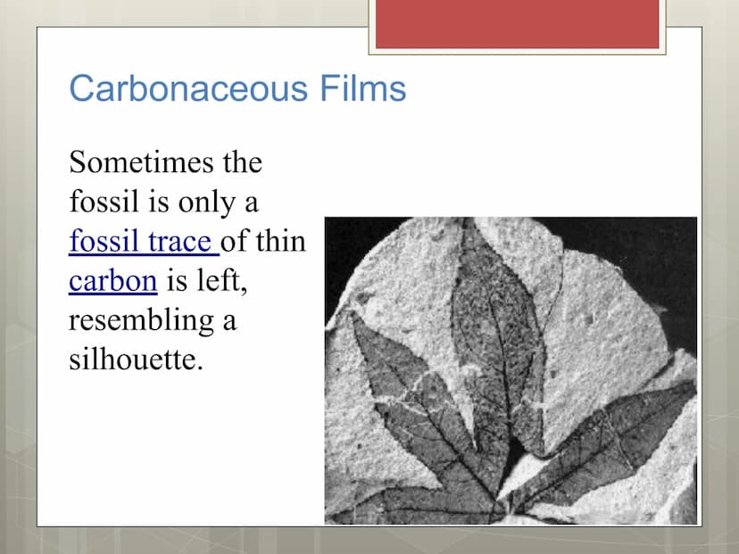 Fossils Formation of Fossils
Examples of fossils include shells, bones,
petrified trees, impressions made by leaves,
or burrows from worms.
