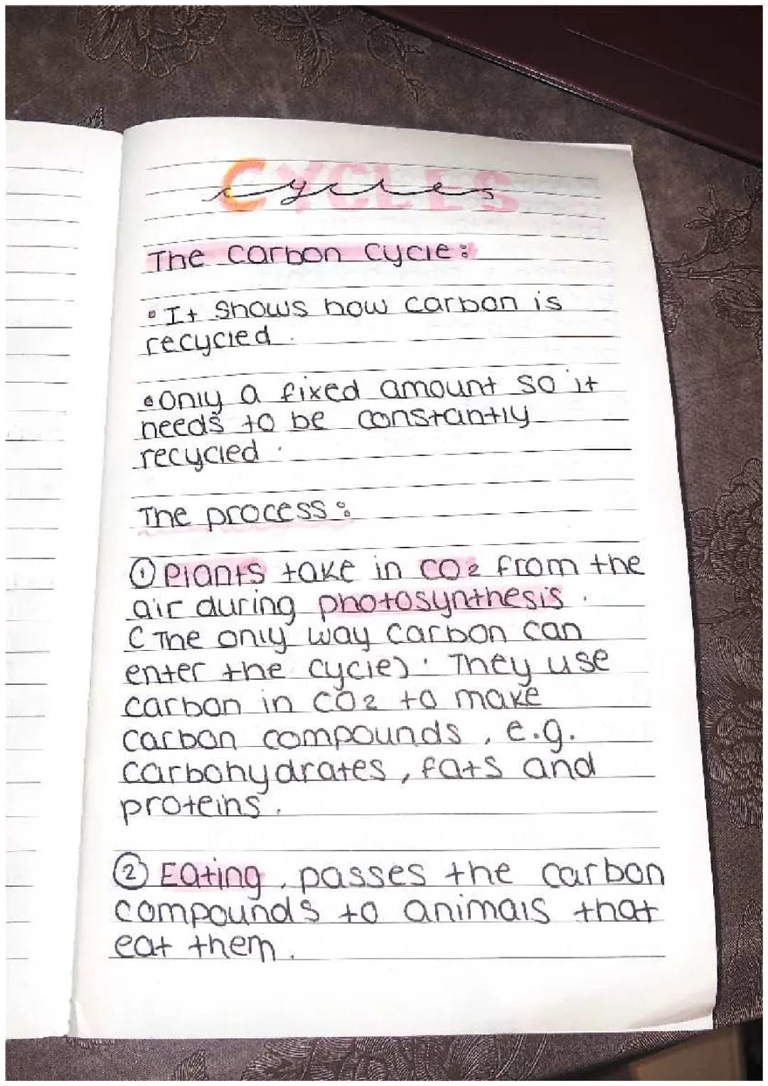 B4-The Carbon Cycle. Biology 