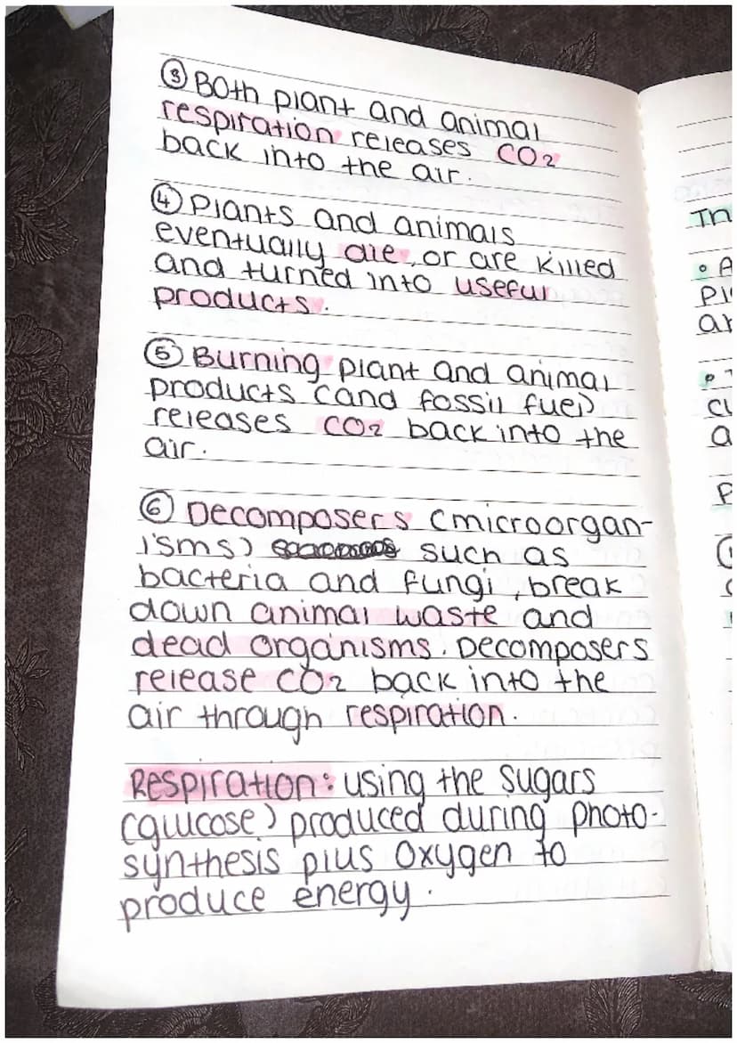 igcres
The carbon cycle:
• It shows how carbon is
recycled.
•Only a fixed amount so it
needs to be constantly
recycled.
The process
O Plants