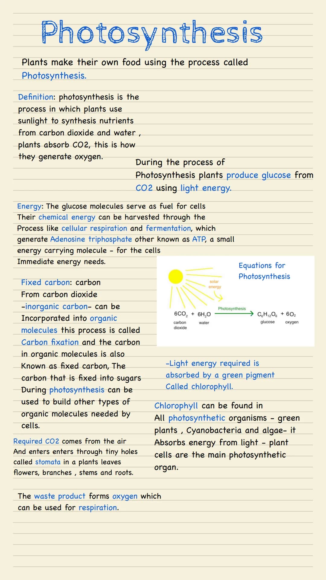 Photosynthesis
Plants make their own food using the process called
Photosynthesis.
Definition: photosynthesis is the
process in which plants