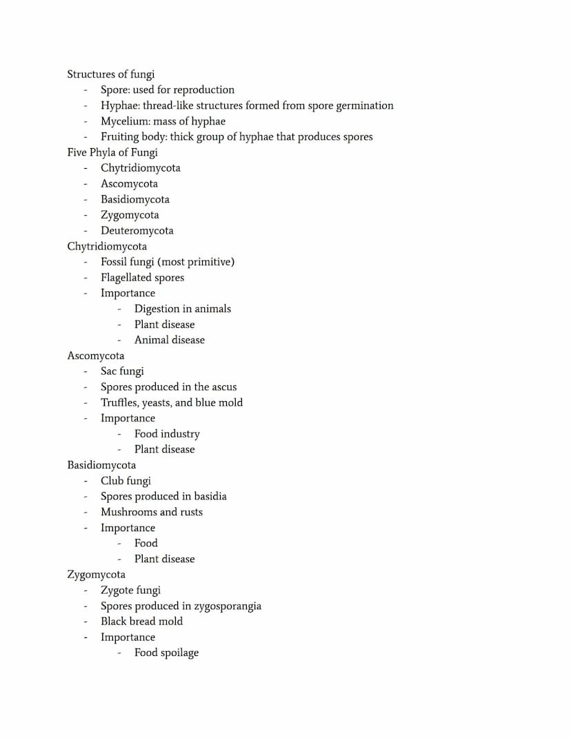 Protists and Fungi
Protists
A eukaryote that is either animal-like, plant-like, or fungus-like
Is not an animal, plant, or a fungus, which i