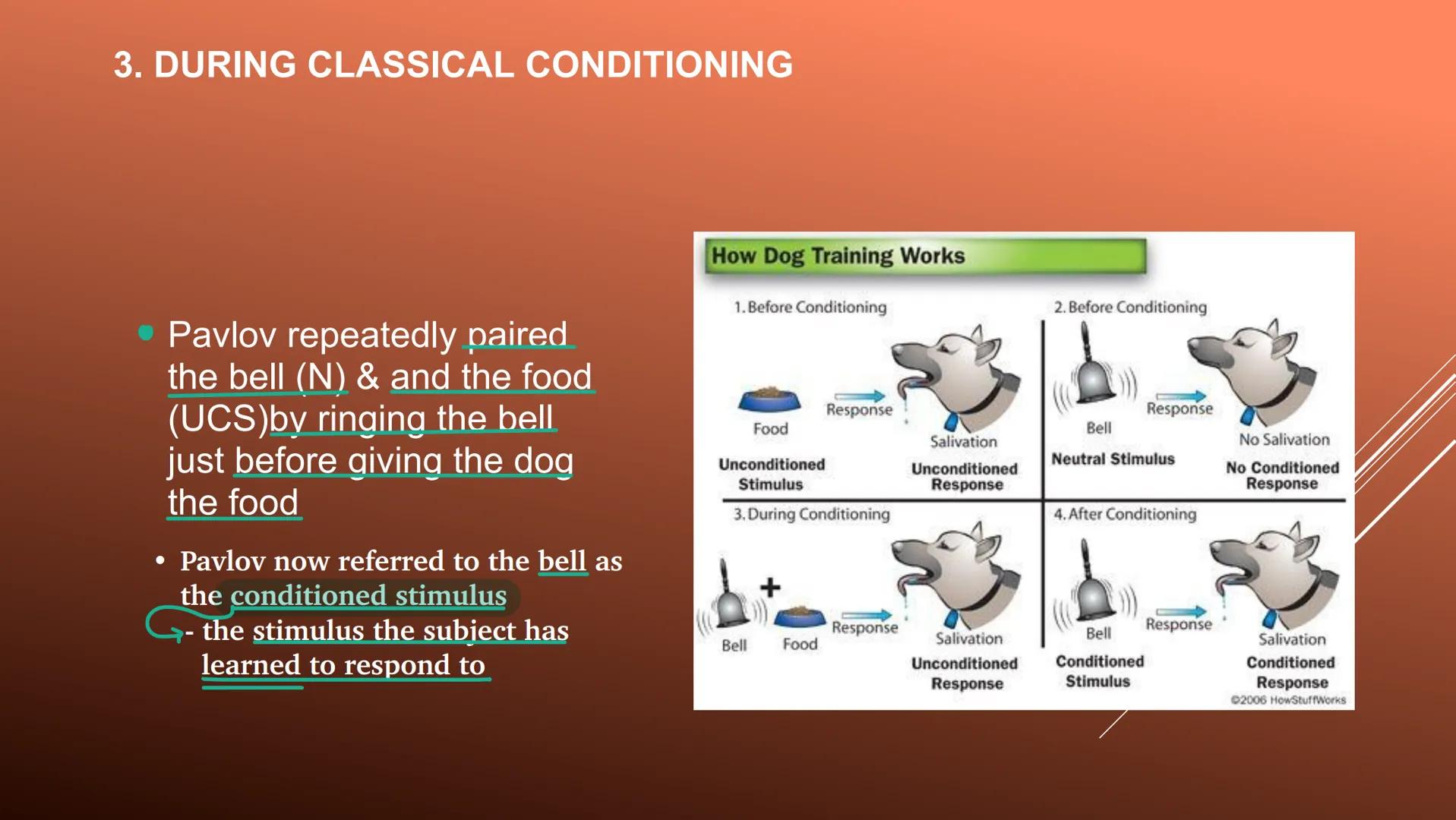 UNIT 4-BEHAVIORAL LEARNING Behavioral learning
occurs when a behavior or response
changes as a result of experience ASSOCIATIVE LEARNING
• A