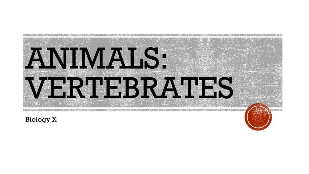 ANIMALS:  VERTEBRATES Notes 2023 PDF