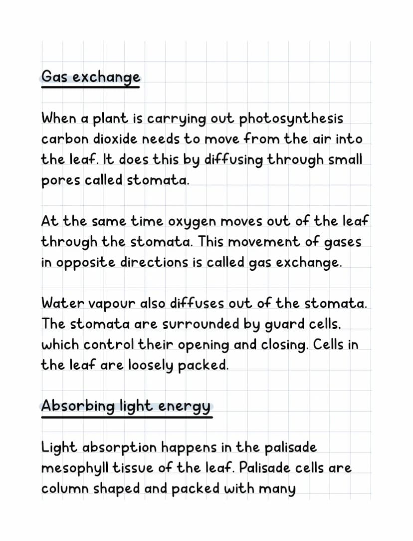 Science revision
Equation for photosynthesis
Carbon dioxide water →glucose+oxygen
6CO₂ + 6H₂0C6H₁₂O₂+60₂
●
Adaptation of a leaf
Features of 