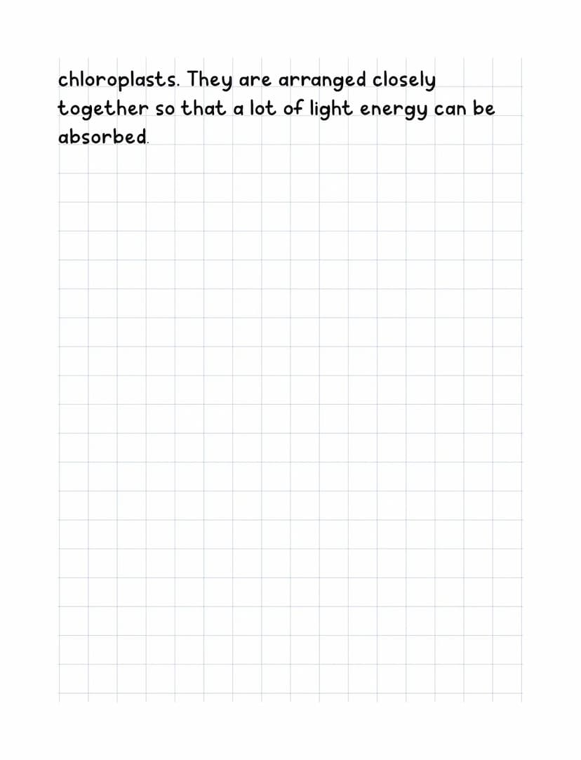 Science revision
Equation for photosynthesis
Carbon dioxide water →glucose+oxygen
6CO₂ + 6H₂0C6H₁₂O₂+60₂
●
Adaptation of a leaf
Features of 