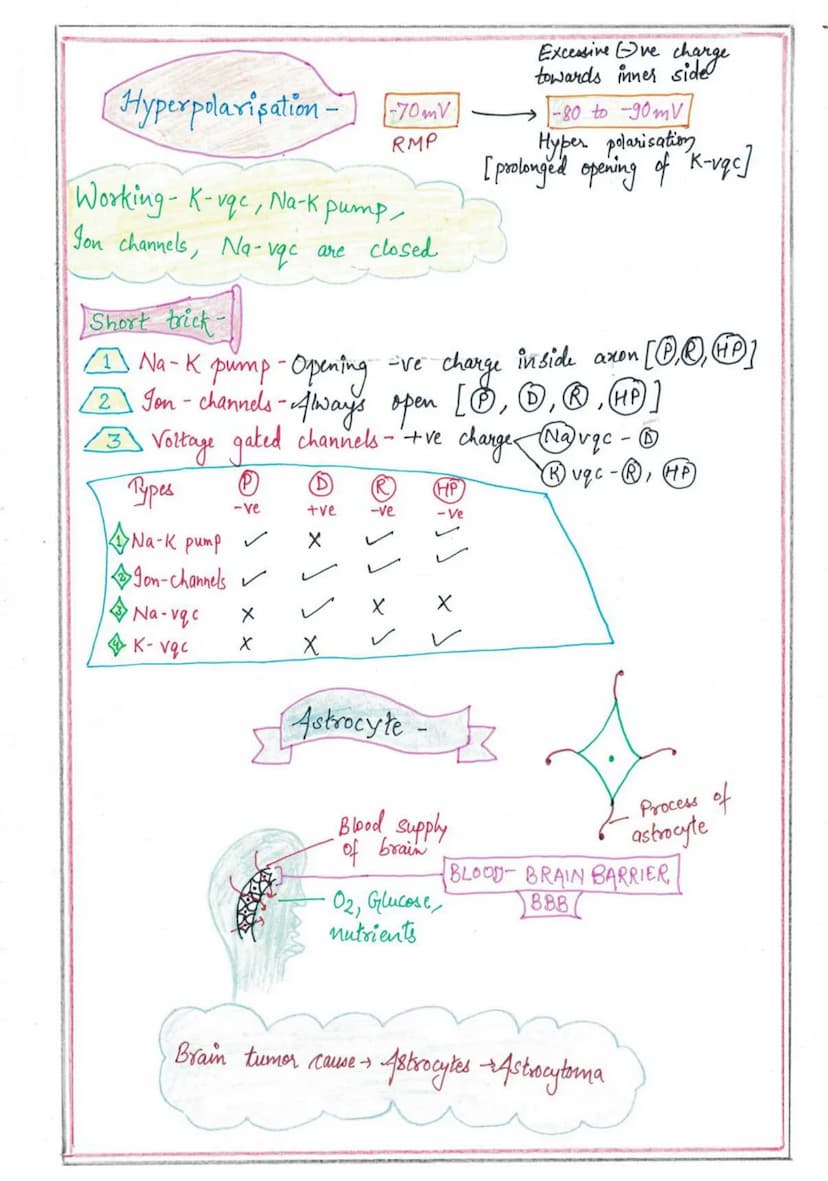 NERVOUS
SYSTEM
Endocrine System
↓
Slow speed coordination
Nervous System
+
High speed coordination
Homeastatic State (tendency of body to re