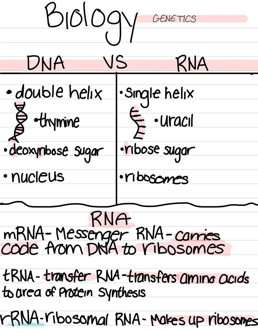 Genetics 