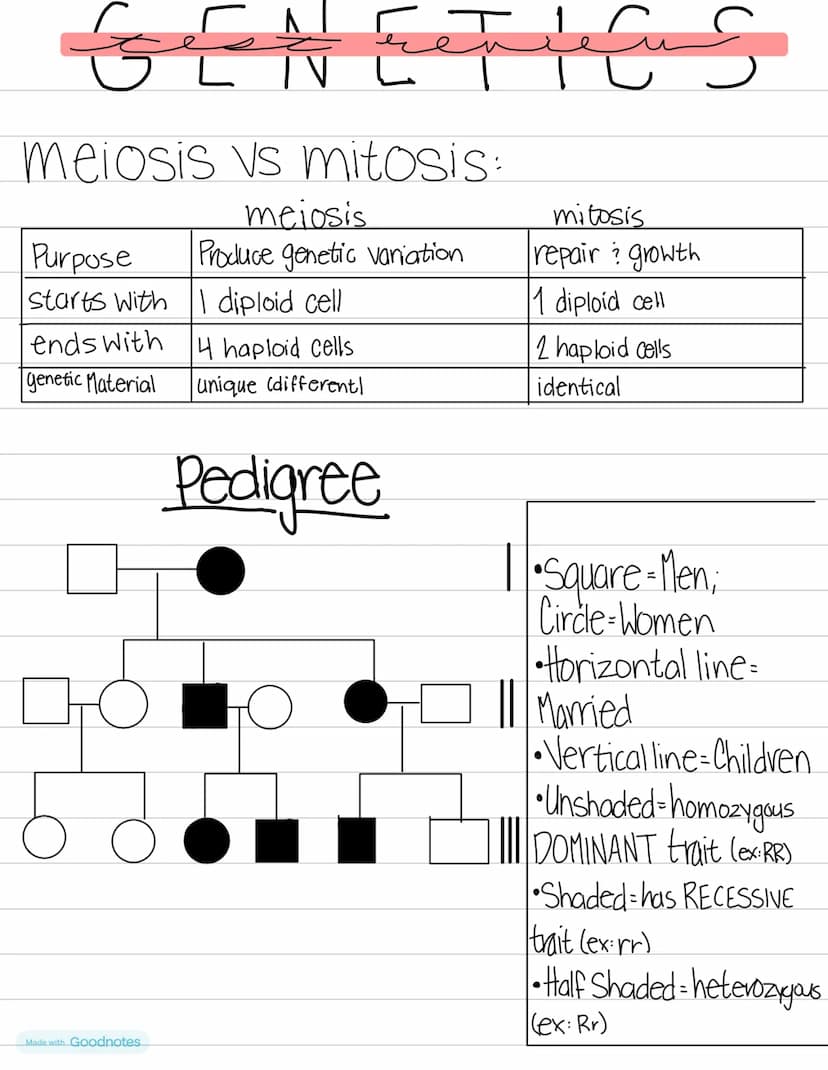Biology
DNA VS
RNA
double helix • Single helix
thymine
•uracıl
•deoxynbose Sugar
• nucleus
GENETICS
•ribose sugar
•ribosomes
RNA
mRNA-Messen