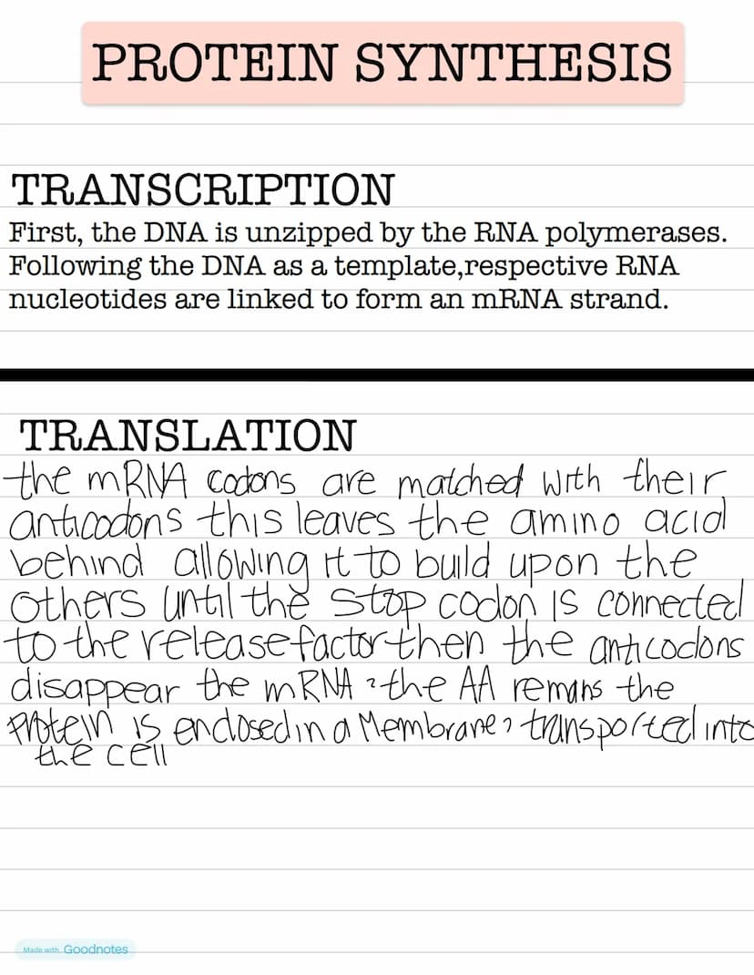 Biology
DNA VS
RNA
double helix • Single helix
thymine
•uracıl
•deoxynbose Sugar
• nucleus
GENETICS
•ribose sugar
•ribosomes
RNA
mRNA-Messen