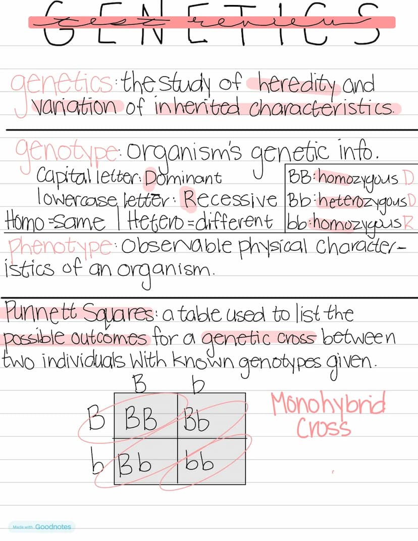 Biology
DNA VS
RNA
double helix • Single helix
thymine
•uracıl
•deoxynbose Sugar
• nucleus
GENETICS
•ribose sugar
•ribosomes
RNA
mRNA-Messen