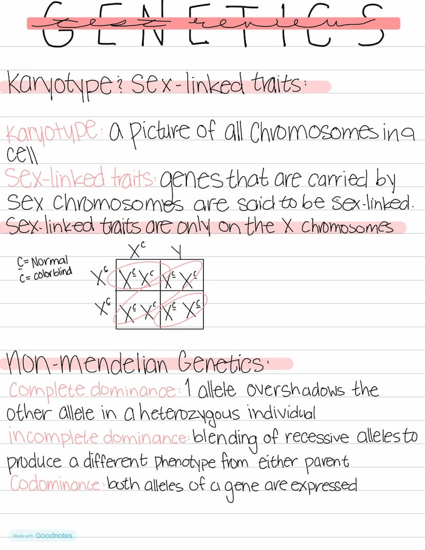 Biology
DNA VS
RNA
double helix • Single helix
thymine
•uracıl
•deoxynbose Sugar
• nucleus
GENETICS
•ribose sugar
•ribosomes
RNA
mRNA-Messen